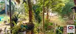 House plot for sale near Pattimattom Road, Ernakulam