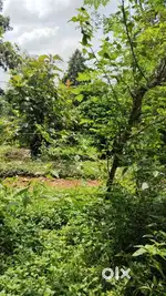 only footpath water line available  and kinar