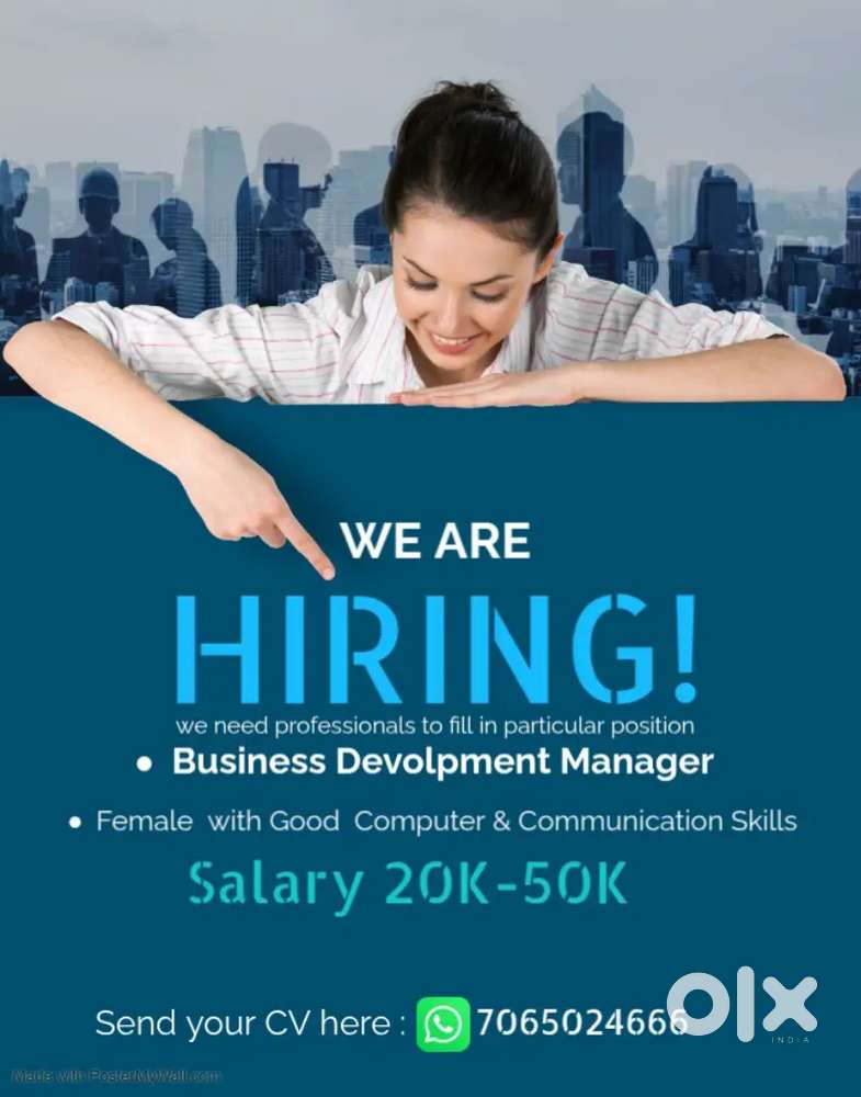 BDM business development manager