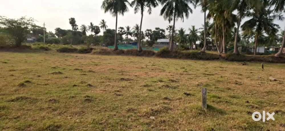 argent sell 2cents in pedana municipality 8laks katlapali raod