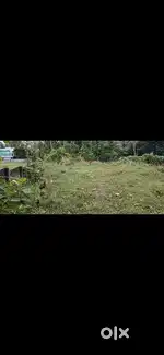 28 cent plot cale near NH Angamali