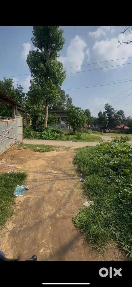 2.5 gonda plain plot near kathaltali market