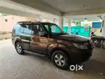 Safari Strome vx