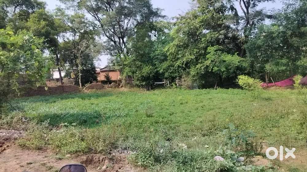 Limtara gaon himshikhar school ke piche best location charoda se8km