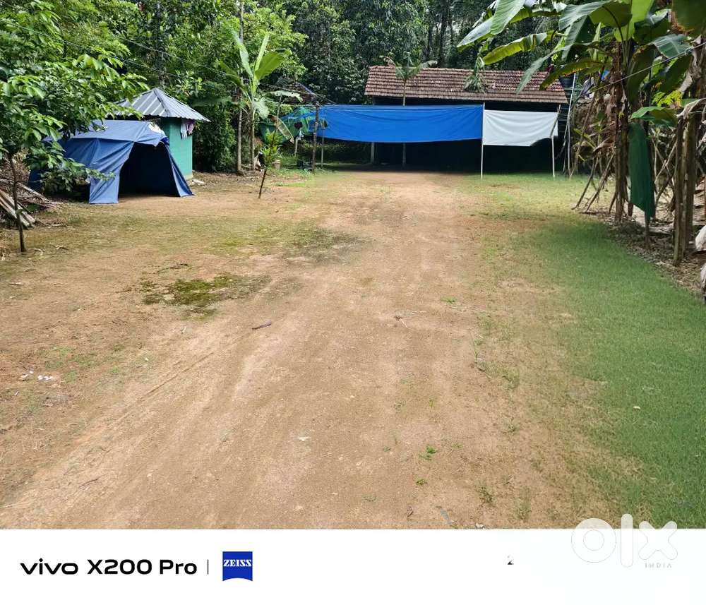 ചാലക്കുടി നിന്നും 9km kuttikad church nu aduth 13cent place kodukkan