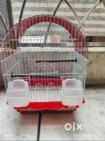 birds cage