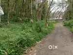 Land for sale in Thodupuzha