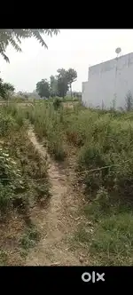 Plot for sale