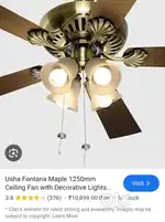 FANCY CEILING FAN