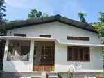 assam type house. Near main road in Bismile