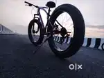 Appgrow fat tyre bicycle