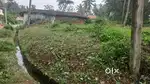 40 ft Road