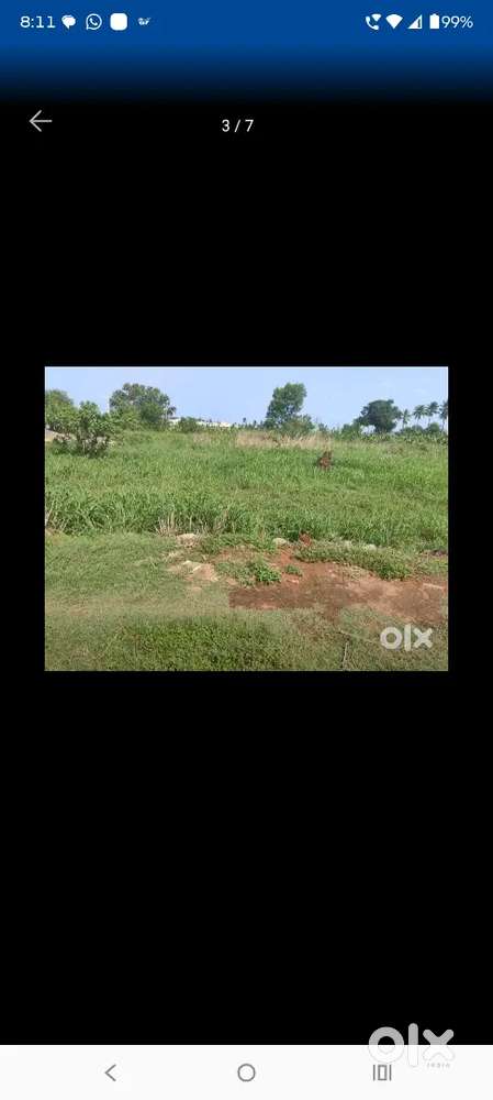 I want to sell my 150 sq yards plot in tadigadapa vijayawada