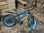 Ranjer Race cycle