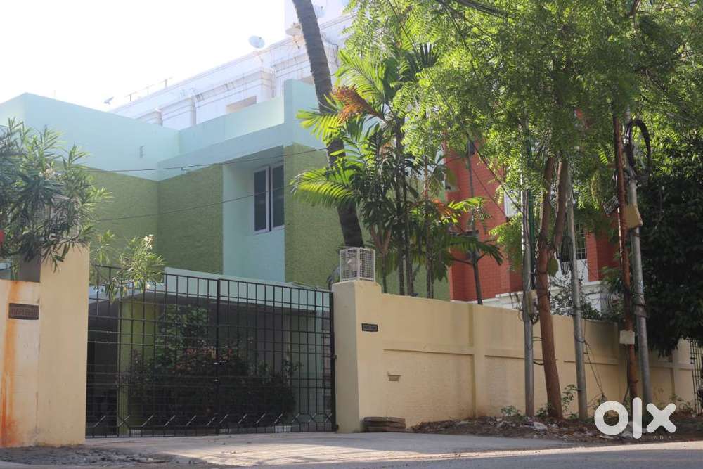 PURPLE PAL WOMENS PG