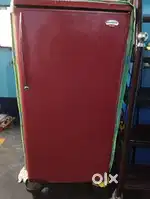 Old refrigerator this company has discontinued in India and expensive
