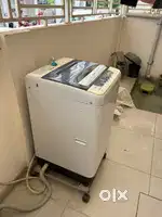 Panasonic 6.5 kg top load washing machine