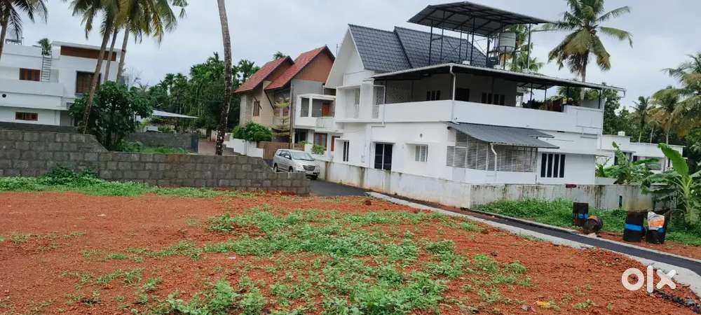 ANGAMALY NEAR AIRPORT 3 KM NH 500 MEATER 4,5,6,8 CENT PLOTS AVAILABLE