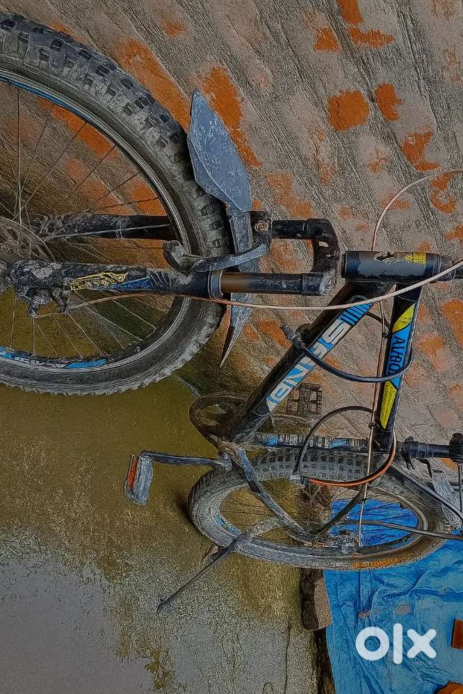 Double disc break, thick 26 × 3.0 tyre bicycle, in red and black. Avro