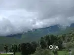 135 gaj or 100 gaj near petrol pump  dundhali