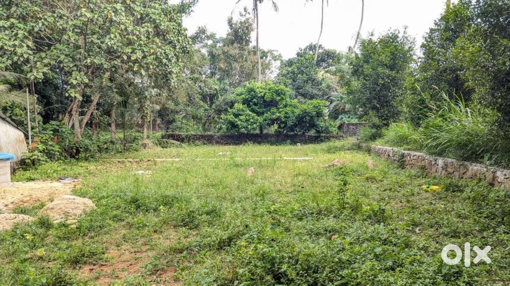 CIAL Airport Vicinity 6 Cent Premium House Plots Free Reg. 90% loan