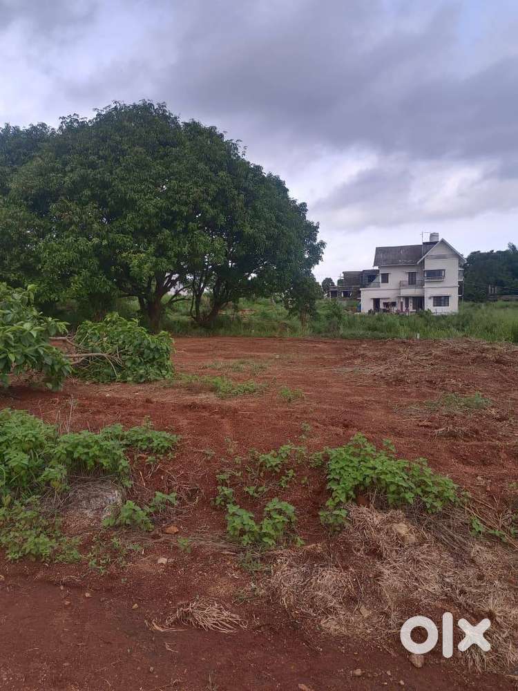 9 Cent House plot for Sale in Elappully, Palakkad