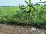Chagantipadu