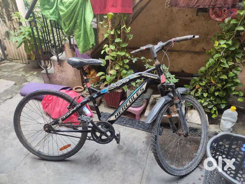 Hercules Cycle