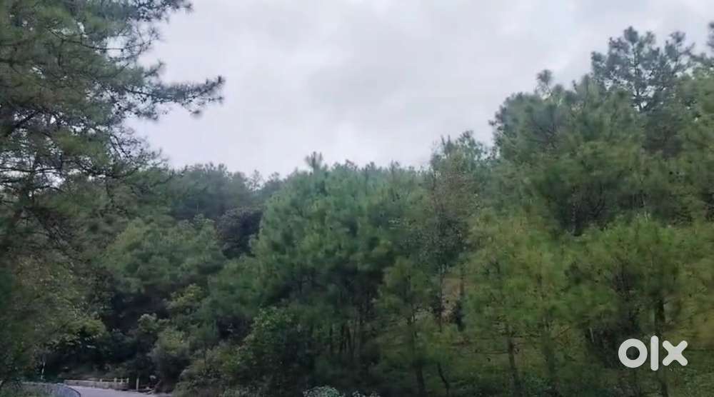 Jaka ba 4 acre dnkm die kyrkieh