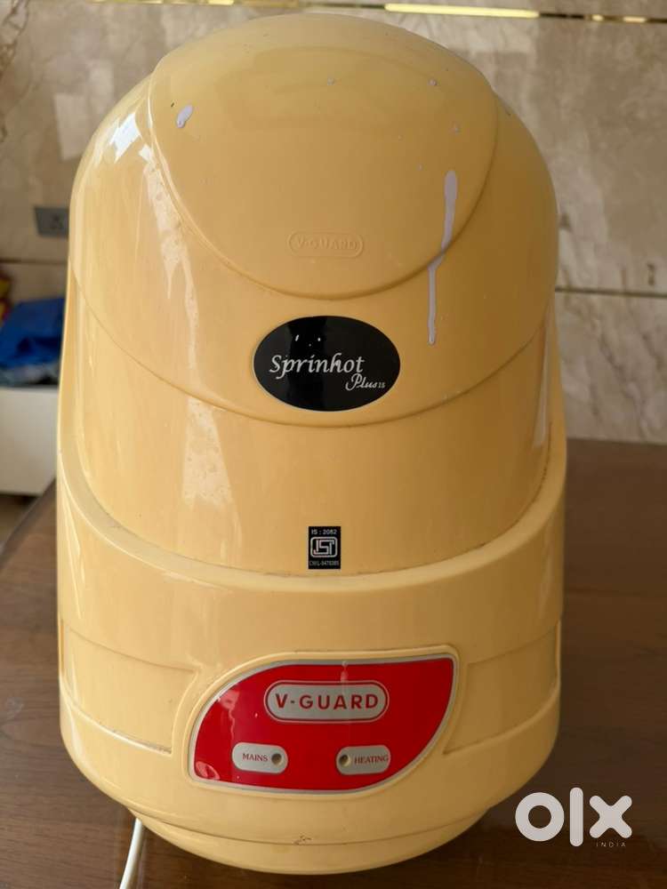 electric water geyser