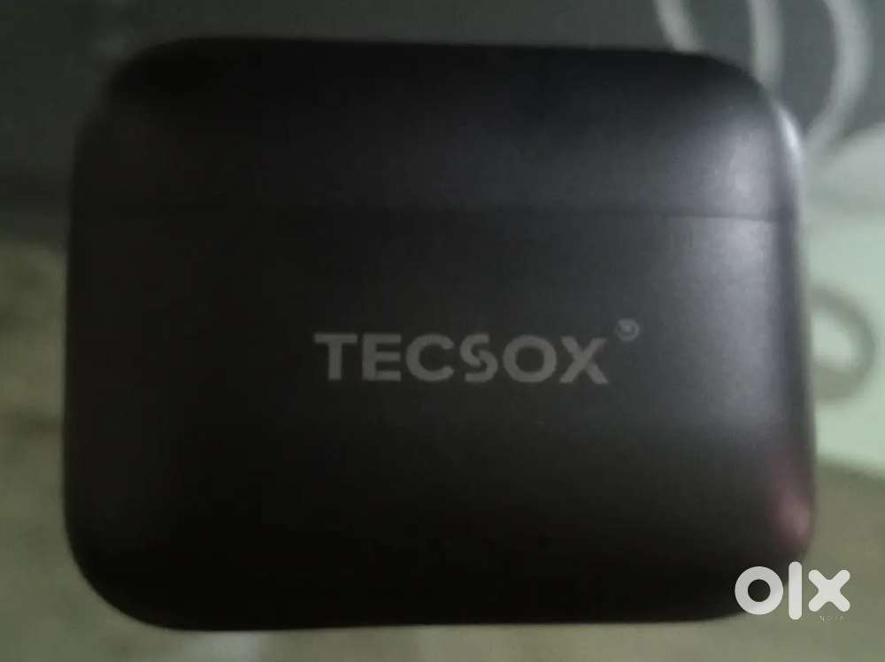 TECSOX ear buds