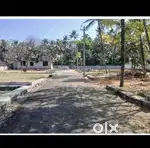 LOW BUDGET PLOTS IN ANGAMALY WITH ALL FACULTIES NEARBY