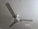 CEILING FAN