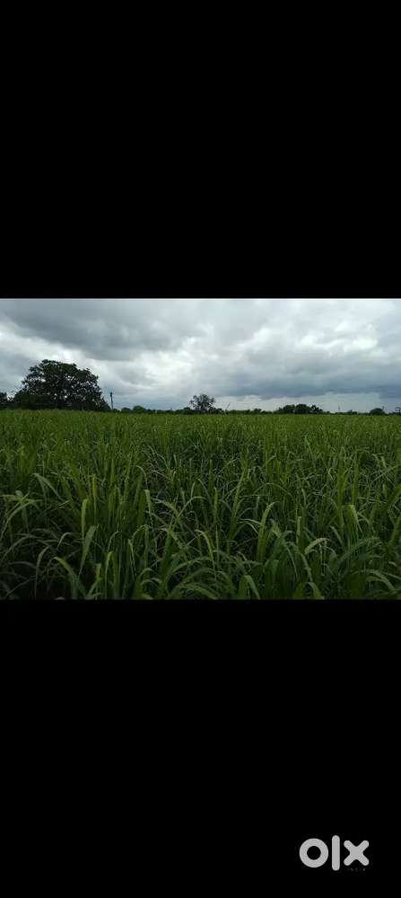 2 Acar Agriculture land