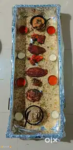 Arabin Mandi Chef job kavali   ,9 years  experience