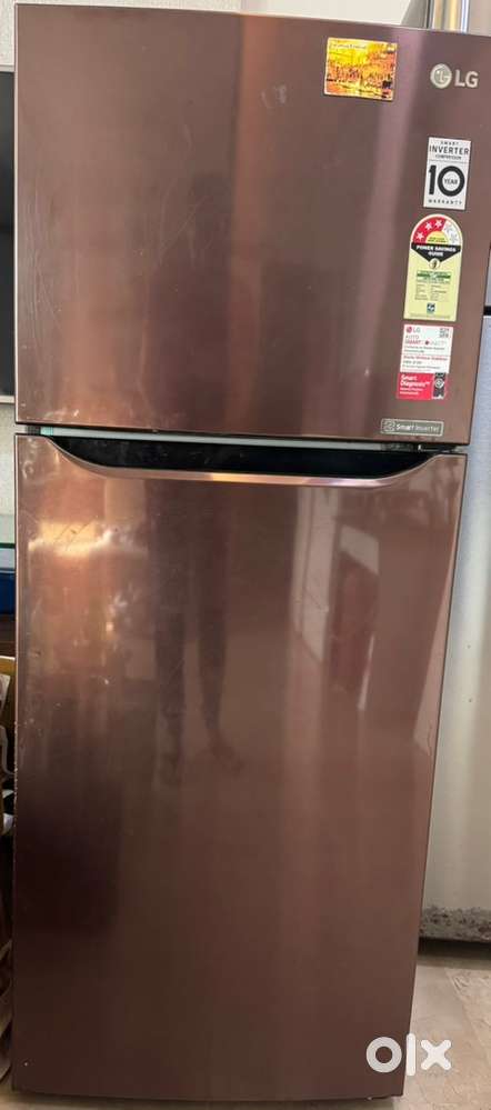 LG 260 L double door fridge