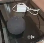 Echo Dot 5th Generation
