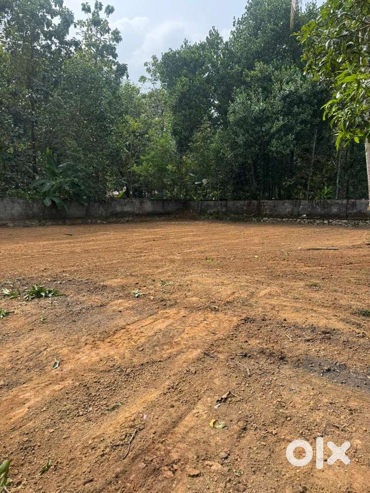 PLOT FOR URGENT SALE