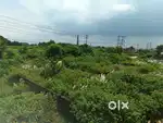 General plot for sale in ranchi
