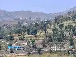 Plot for sale at Itharna near Bhogpur
