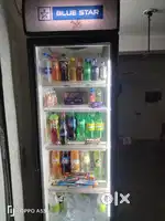 Blue Star Display freeze 500L