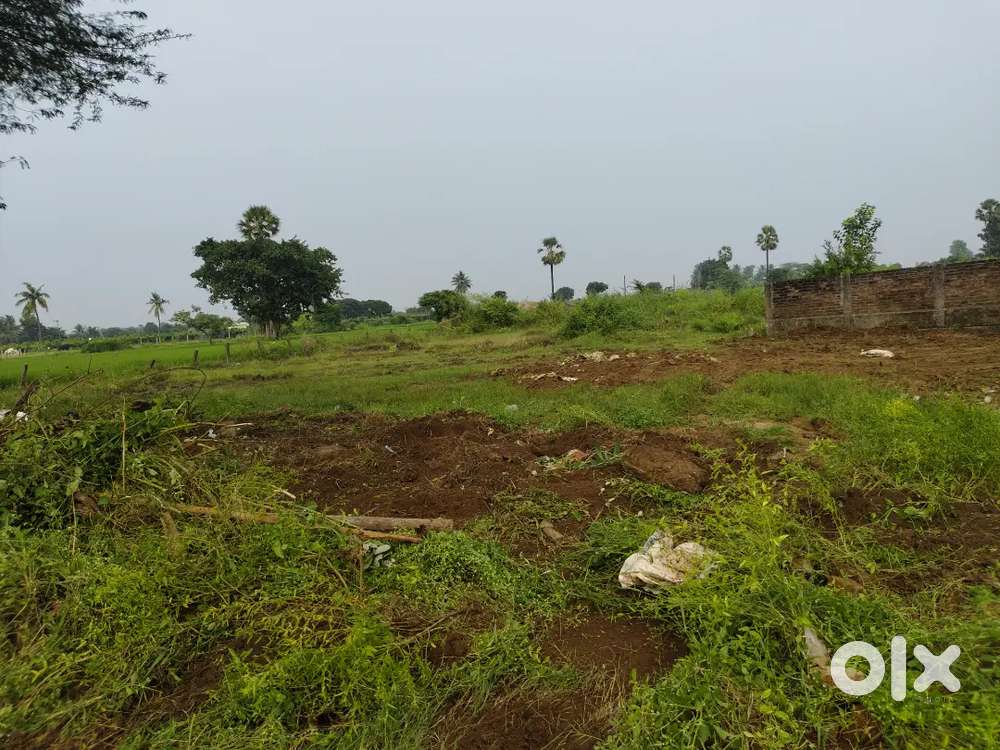 Available 267 sqy housing plot exact at Gadala