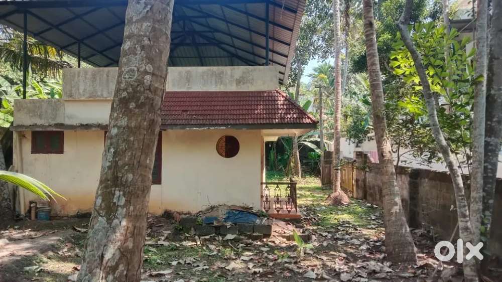 House and property for sale