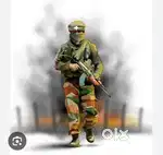 i am bsf ex servicemen