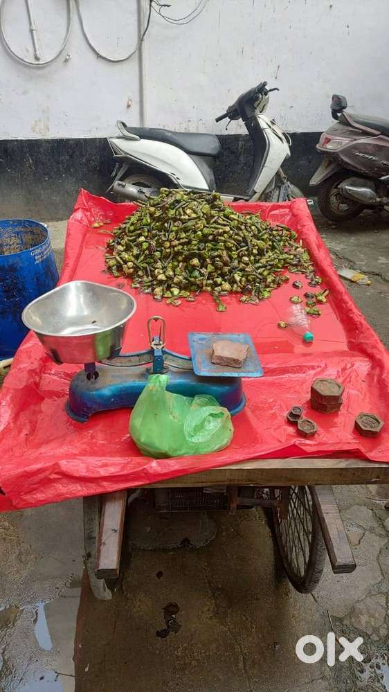 Fruits ki Theli