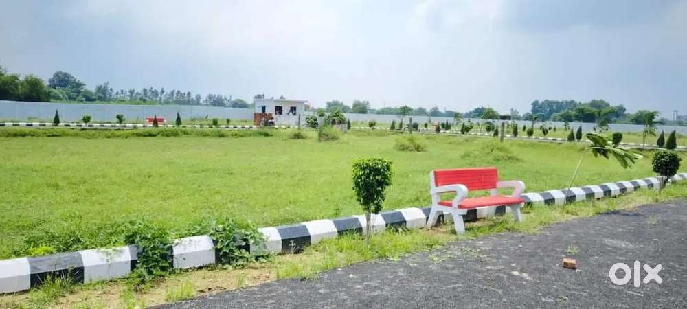 लखनऊ में सुल्तानपुर रोड पर सरोज इंस्टीट्यूट से नजदीक अप्रूव्ड प्लाट