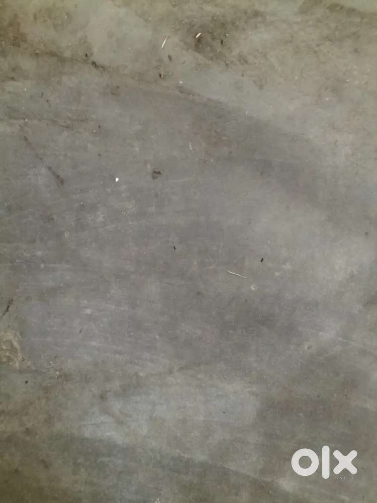 1kotha 4losa land at Dhenusucha,Jorhst
