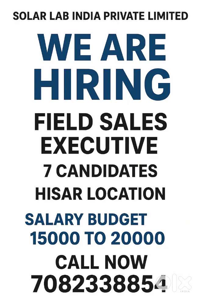 Field sales executive