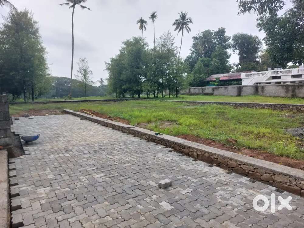 Aluva Desom 6 cent house plot  for sale immediately