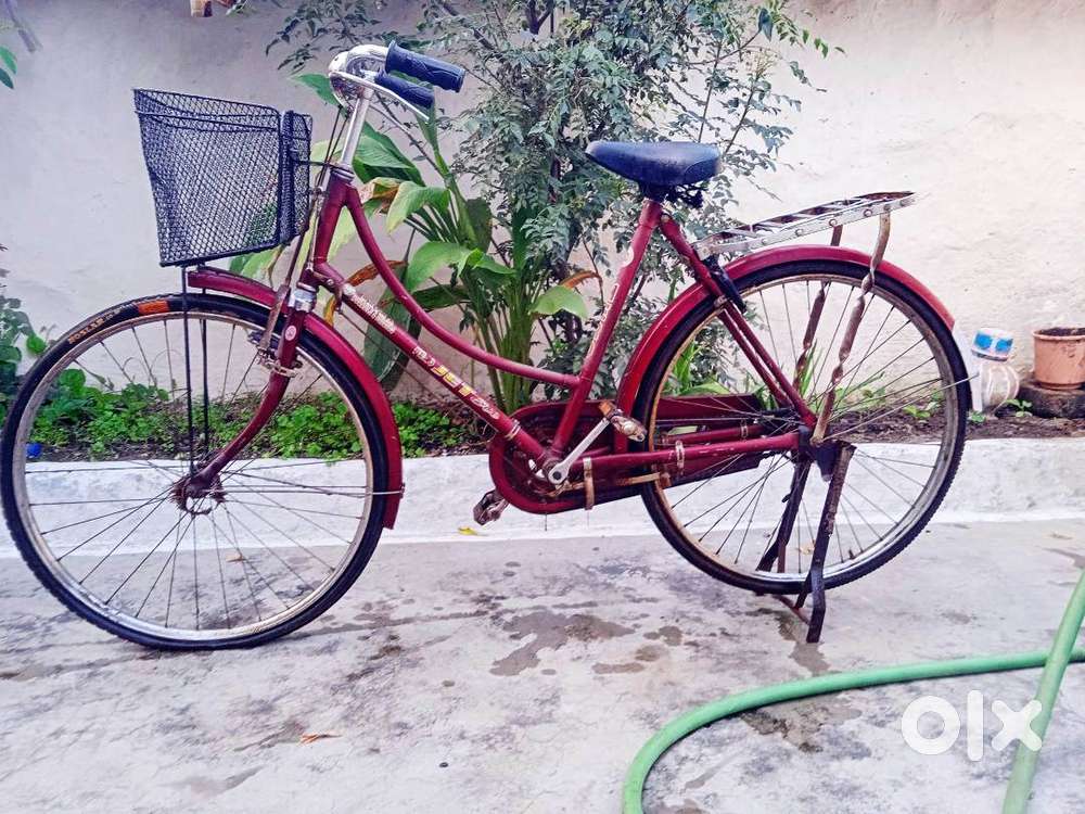 Cycle 5 to 15 years boy or girl